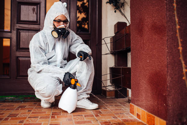 Reliable Wasp Removal contractor in Audubon Park, KY by Show Me Pest Control